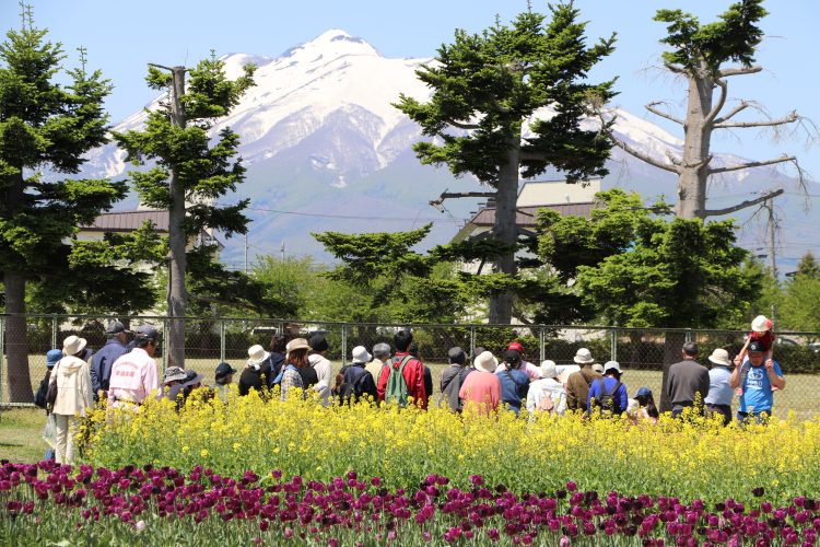 岩木山を眺められる場所で