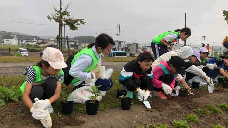 ハマナスの花植樹体験