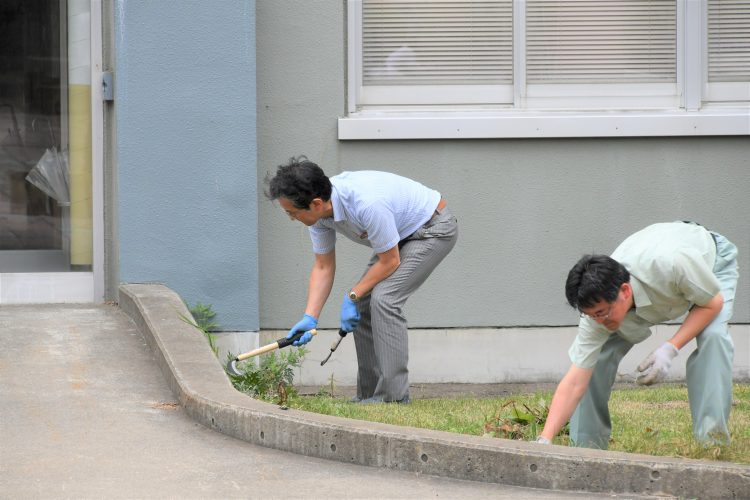 雑草を刈る渡辺理事