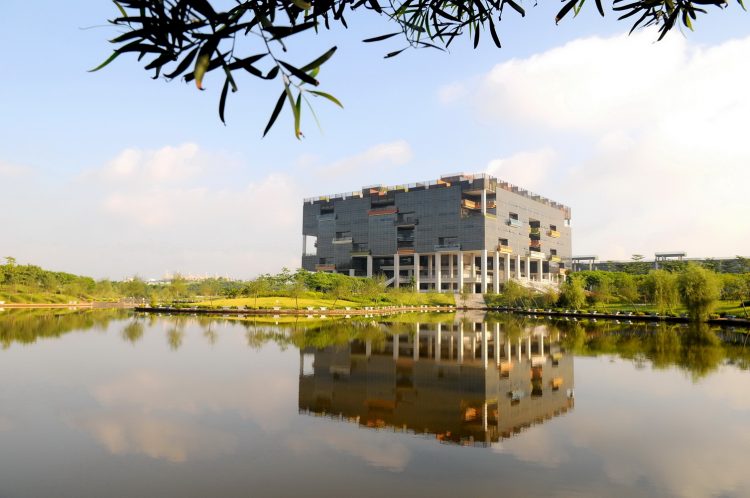 大学図書館