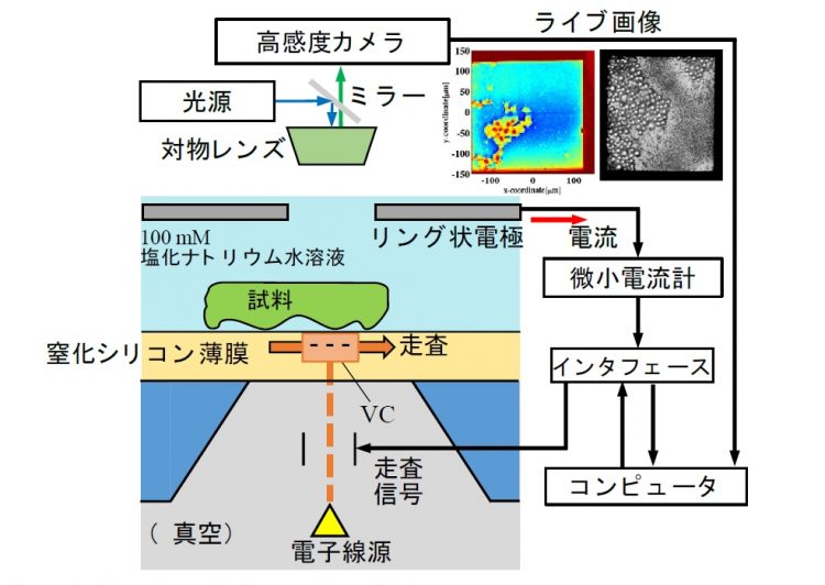 図１