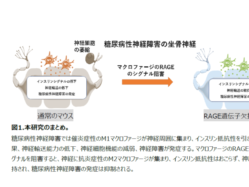 カプサイシン
