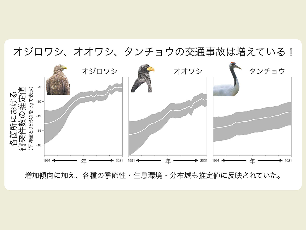 楽天ブックス: 足環をつけた鳥が教えてくれること - 山階鳥類