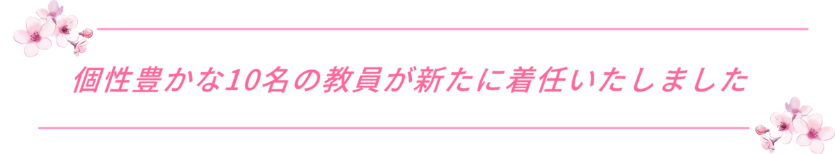 新任教員紹介