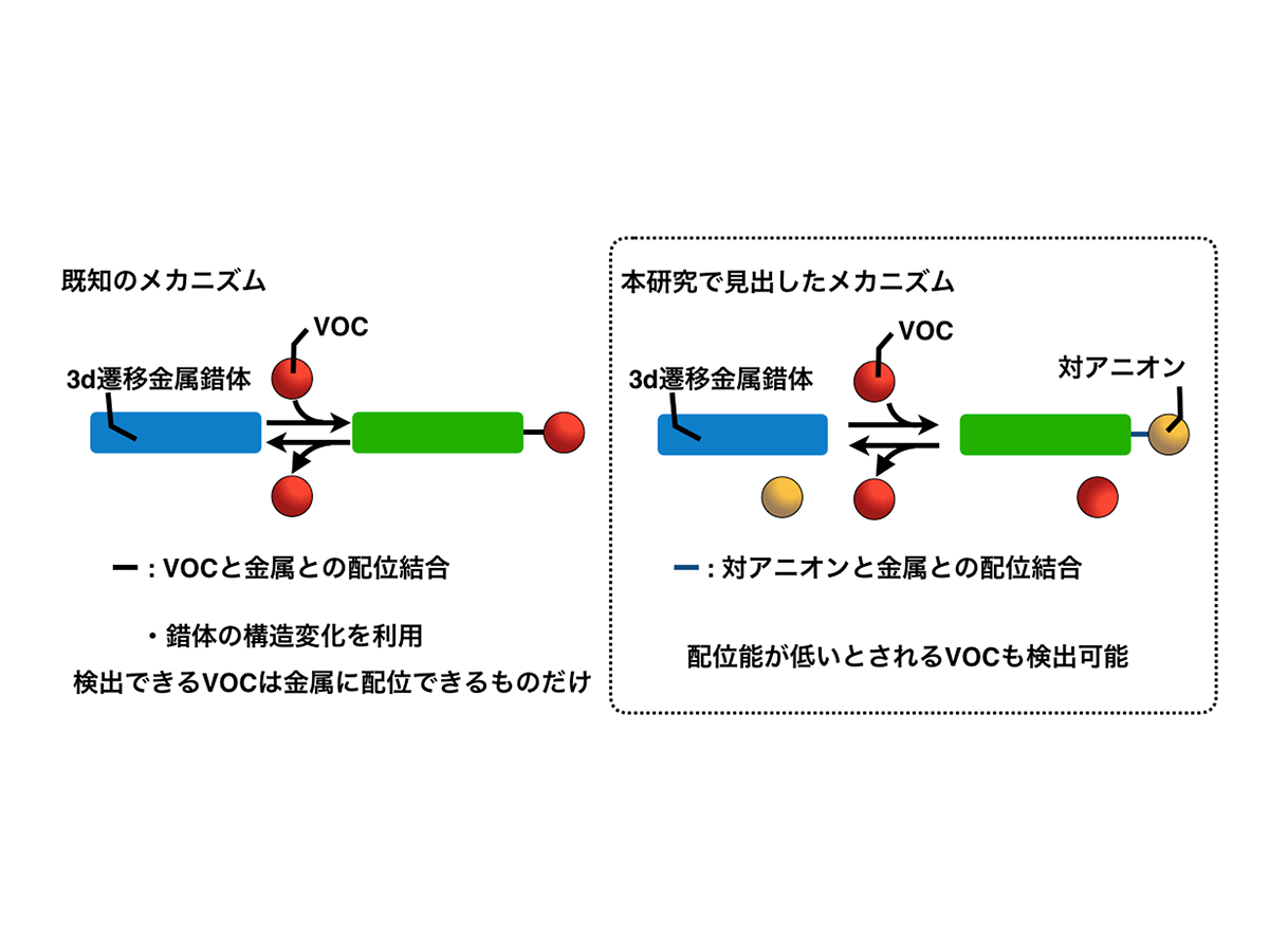 色の変化」で目に見えない有害物質の存在を知らせる金属材料を開発