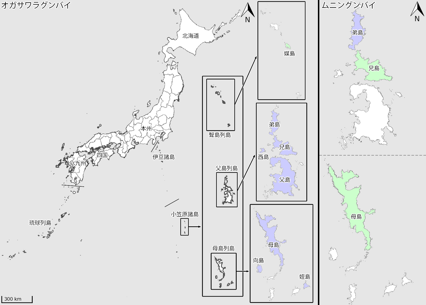 図3