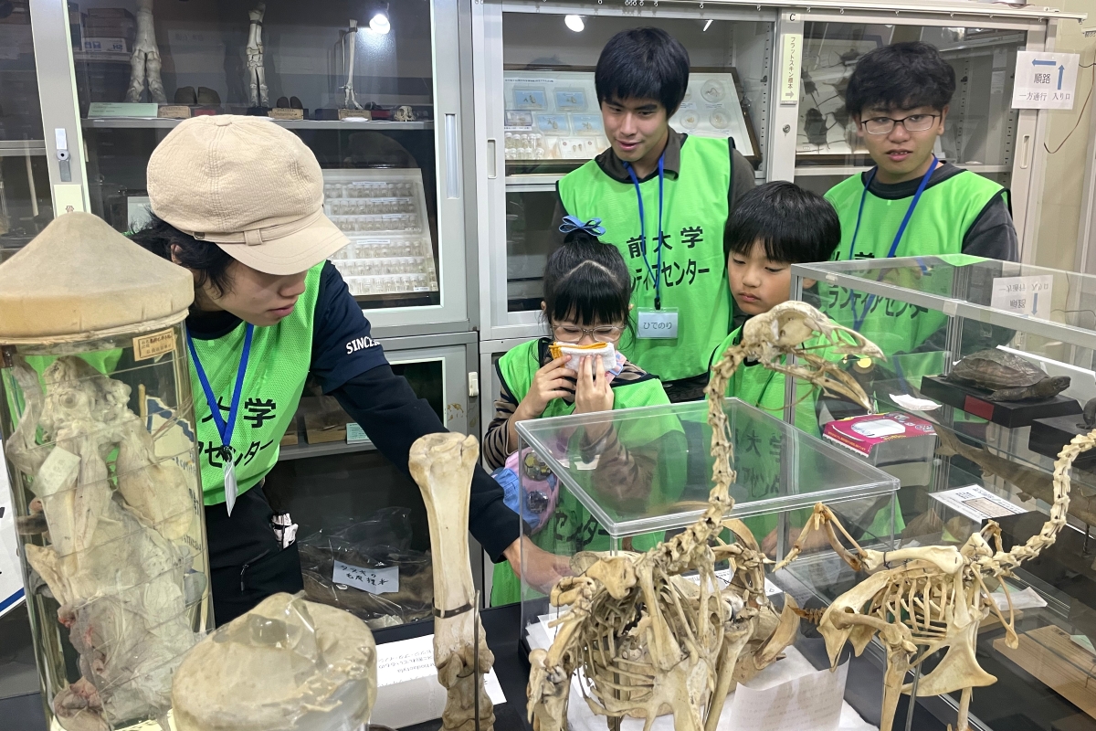 農学生命科学部動物標本展示室を見学