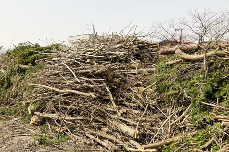 ①高速道路の間伐材