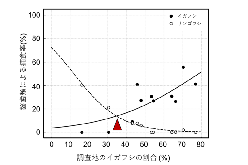 (図4)野外における虫こぶ2種の割合と両種の捕食率。赤色の矢印は推定された捕食転換ポイントを示す