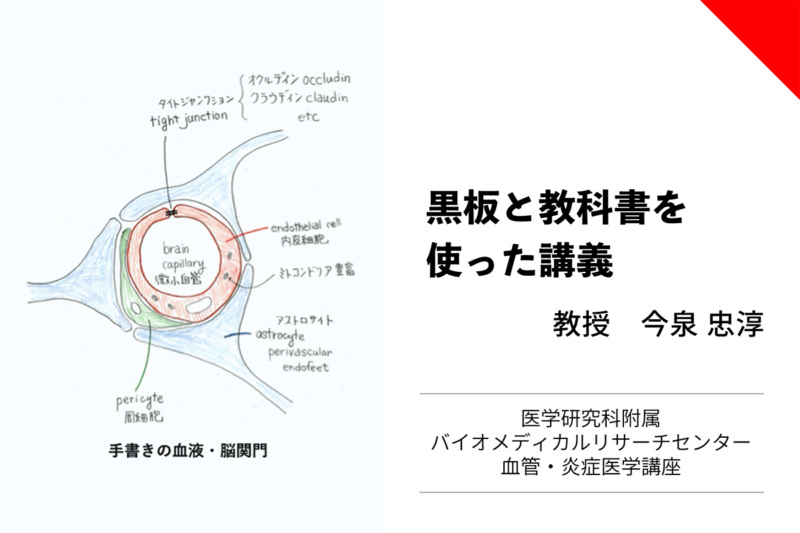 今泉忠淳教授