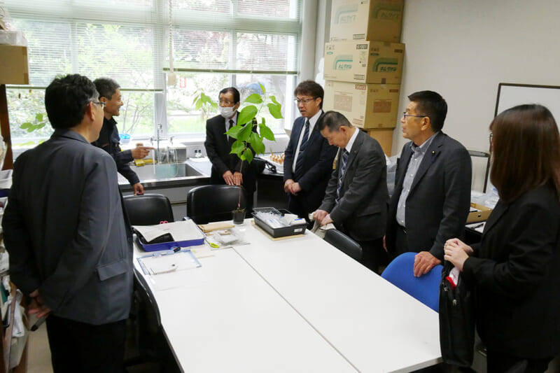 本多准教授の研究室で芽接を観察する議員団
