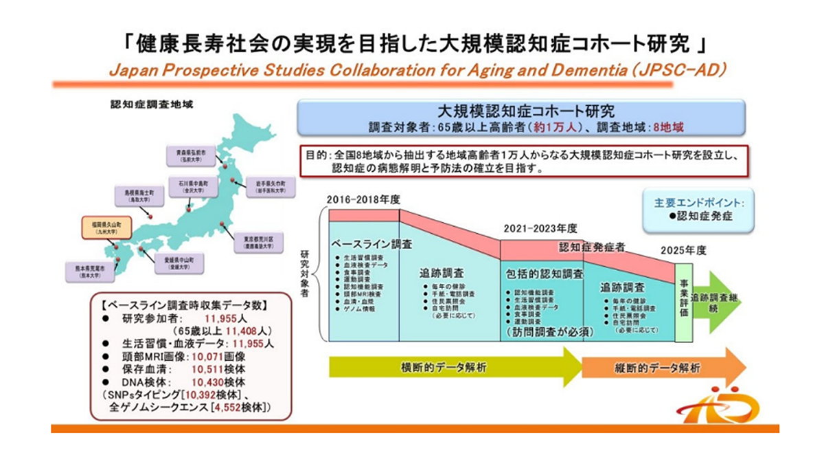 全国8地域の⼤規模認知症コホート研究により、APOEε4 遺伝⼦型と修正