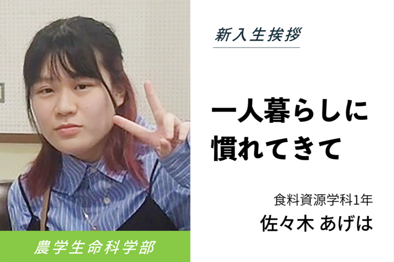 佐々木 あげは