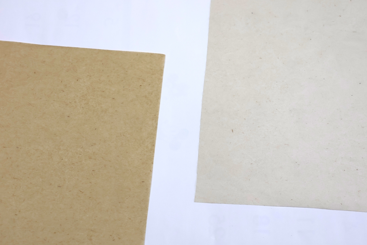 左:秋田スギから作製した薄葉紙 右:りんご剪定枝から作製した薄葉紙