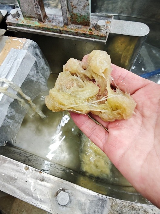 ①嶽きみ加工時に排出される皮から得られるパルプ