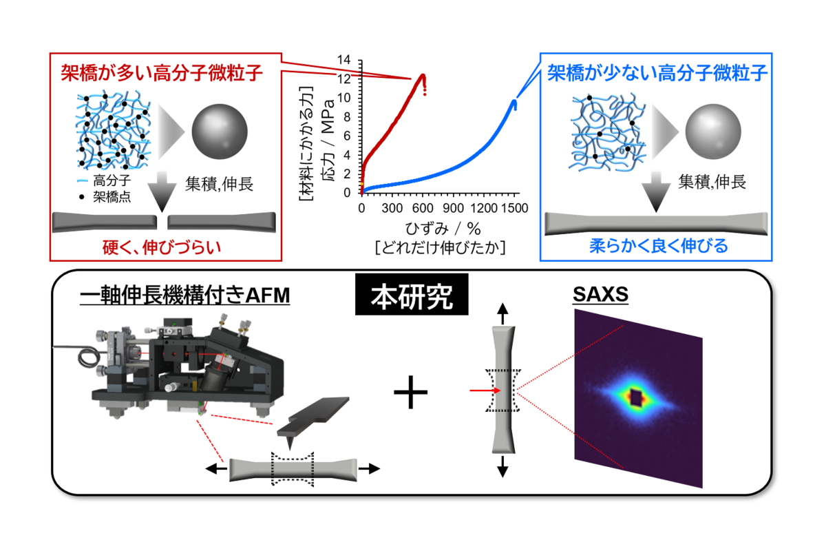 図1